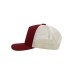 RECORD 5 PANELS 100%C-100%P RECORD 5 PANELS 100%C-100%P