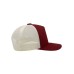 RECORD 5 PANELS 100%C-100%P RECORD 5 PANELS 100%C-100%P