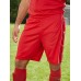 BASIC TEAM SHORTS  JN387