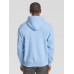 CLASSIC HOODED SWEAT FR622080