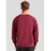 CLASSIC RAGLAN SWEAT FR622160