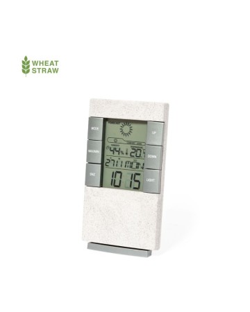 STAZIONE METEOROLOGICA MAGINLY 21022