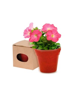 VASO ADVERT 9966