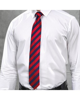 CLUB STRIPE TIE 100%P