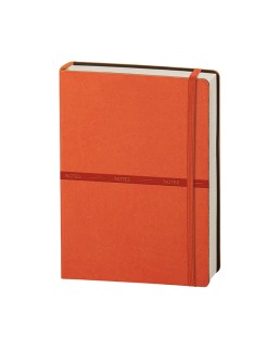 NOTES - NOTES INFINITY CL630