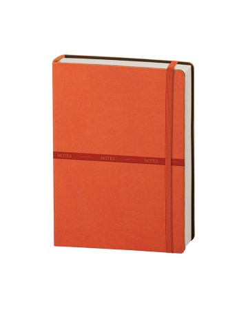 NOTES - NOTES INFINITY CL630