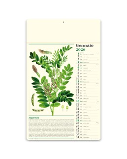 ALMANACCO ITALIANO - ERBORISTERIA PA011