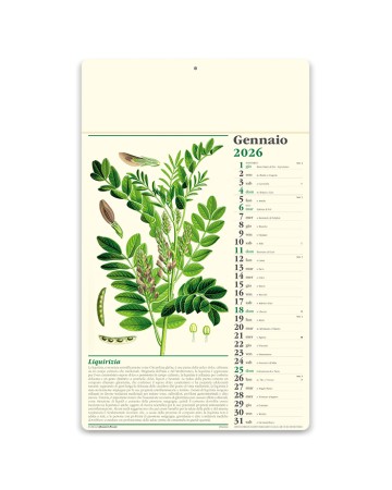 ALMANACCO ITALIANO - ERBORISTERIA PA011
