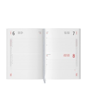 INTERNI - INTERNO GIORNALIERO PB003TN