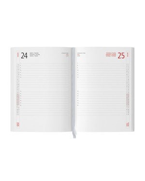 INTERNI - INTERNO GIORNALIERO PB004TN
