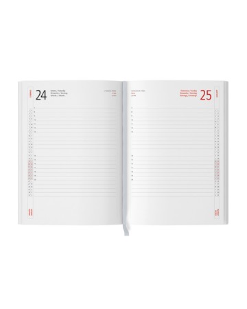 INTERNI - INTERNO GIORNALIERO PB004TN