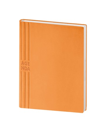 BLOCCO MOBILE - AGENDA GIORNALIERA PB207
