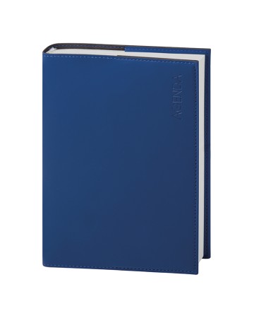 BLOCCO MOBILE - AGENDA GIORNALIERA PB213SDS