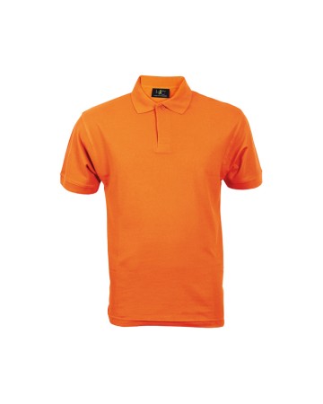 POLO - POLO HAMILTON PM385