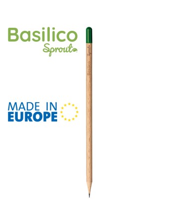 MATITE E CANCELLERIA - BASILICO PD562