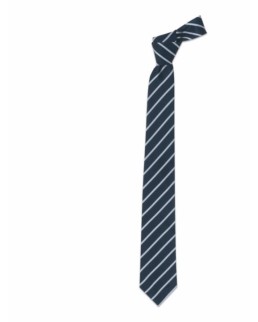 CRAVATTA UOMO K5I00412