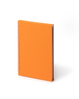 MISTROL STAMINA NB2011